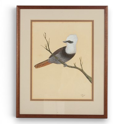 Lot 233 - C B Singh (20th century), study of a crested...