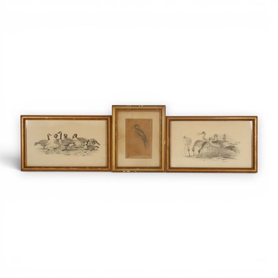 Lot 212 - John Guille Millais (1865-1931), three ink and...