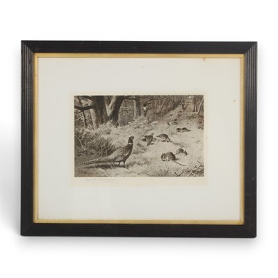 Lot 221 - Archibald Thorburn (1860-1935), pheasant in a...