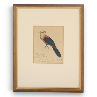 Lot 229 - English school (19th century), study of a...
