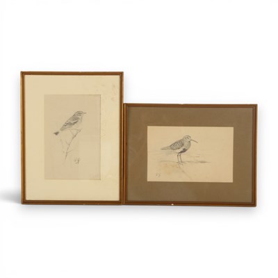 Lot 215 - Roland Green (1890-1972), study of a sandpiper...