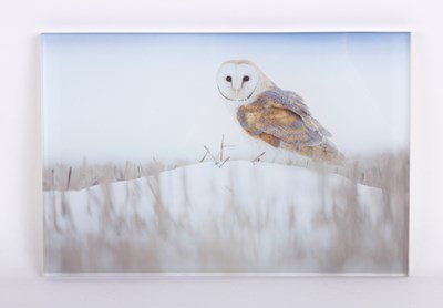 Lot 589 - Chris Packham (British, b.1961), A signed...