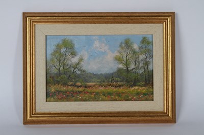 Lot 597 - James Wright (b.1935), Summer Meadow -...