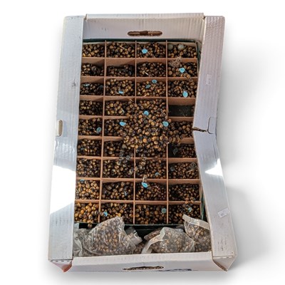 Lot 846 - A collection of tiger's eye beads