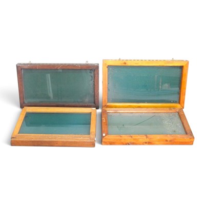 Lot 137 - A pine glazed display board, 69 x 40cm,...