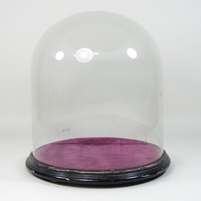 Lot 13 - A Victorian glass dome