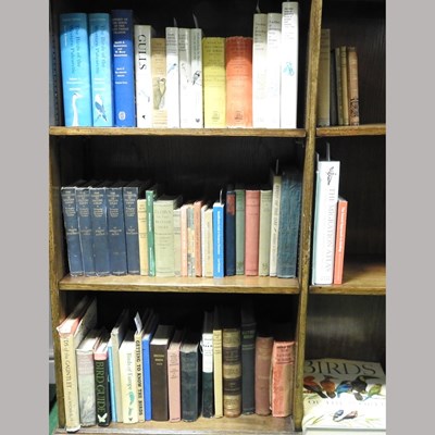 Lot 506 - The Birds of British Somaliland and the Gulf of Aden