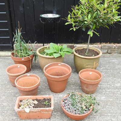 Lot 327 - A collection of garden pots